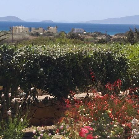 Haus Asterakia Apartment Aliko Beach Exterior photo