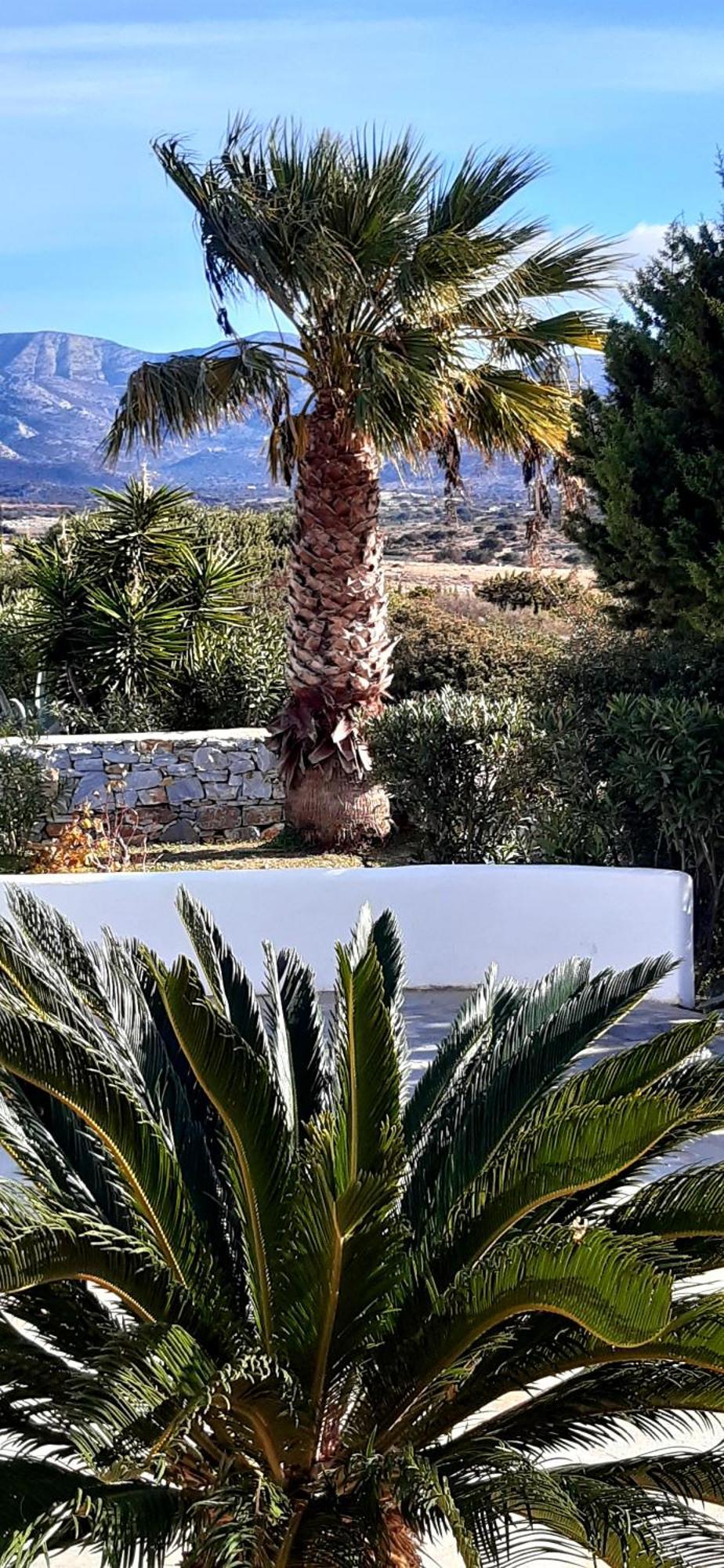 Haus Asterakia Apartment Aliko Beach Exterior photo